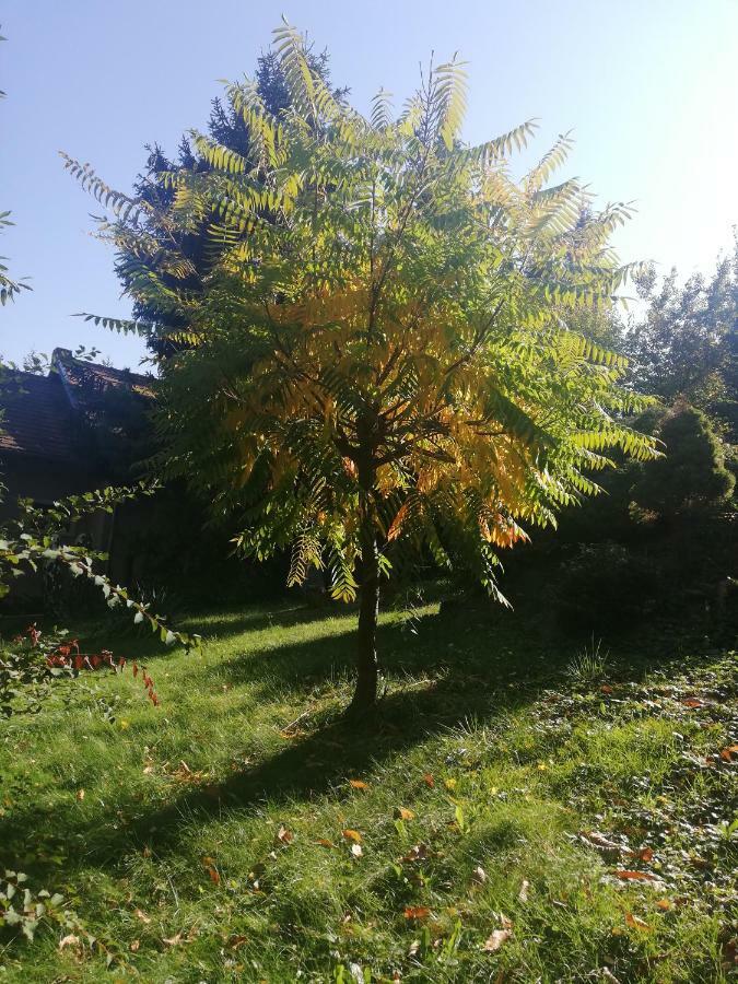 فندق Mohas Vendeghaz Koszeg Mohas Ut 107 المظهر الخارجي الصورة